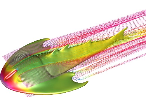 Computed fluid dynamic simulations of the flow of water over a digital model of Tujiaaspis vividus, viewed from above.